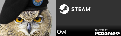 Owl Steam Signature