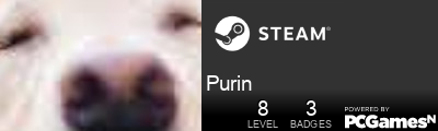Purin Steam Signature