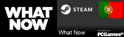 What Now Steam Signature
