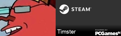 Timster Steam Signature