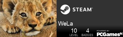 WeLa Steam Signature