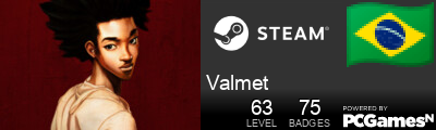 Valmet Steam Signature