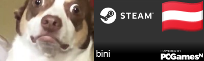 bini Steam Signature