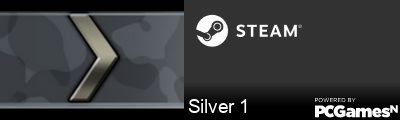 Silver 1 Steam Signature