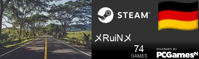 メRuiNメ Steam Signature