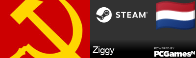Ziggy Steam Signature