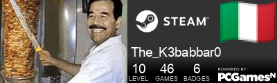 The_K3babbar0 Steam Signature