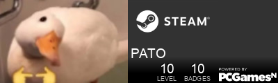 PATO Steam Signature
