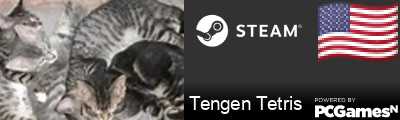 Tengen Tetris Steam Signature