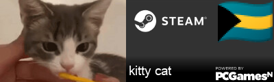 kitty cat Steam Signature