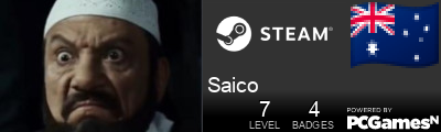 Saico Steam Signature
