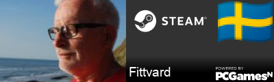 Fittvard Steam Signature