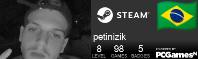 petinizik Steam Signature