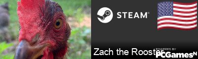 Zach the Rooster Steam Signature