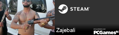 Zajebali Steam Signature