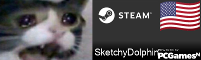 SketchyDolphin Steam Signature