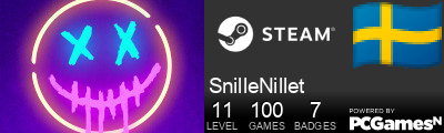 SnilleNillet Steam Signature