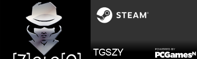 TGSZY Steam Signature