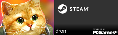 dron Steam Signature