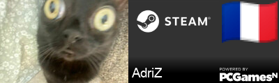 AdriZ Steam Signature