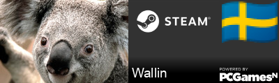 Wallin Steam Signature