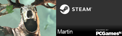 Martin Steam Signature