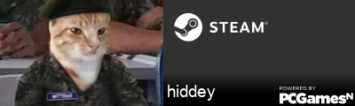 hiddey Steam Signature