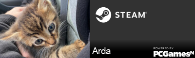 Arda Steam Signature