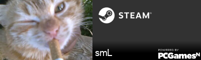 smL Steam Signature