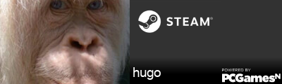 hugo Steam Signature