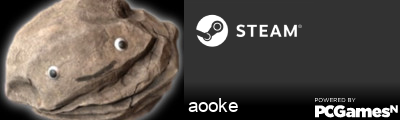 aooke Steam Signature