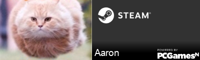 Aaron Steam Signature