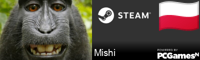 Mishi Steam Signature
