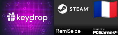 RemSeize Steam Signature