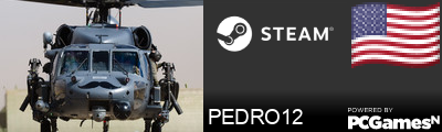 PEDRO12 Steam Signature