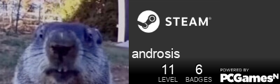 androsis Steam Signature