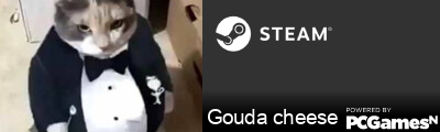 Gouda cheese Steam Signature