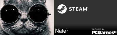 Nater Steam Signature