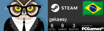 gekaesy Steam Signature