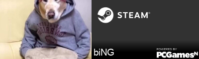 biNG Steam Signature