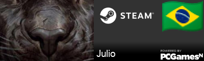 Julio Steam Signature