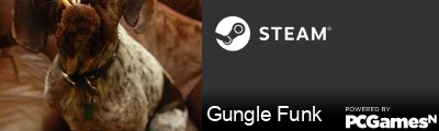 Gungle Funk Steam Signature