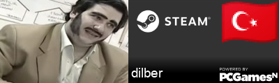 dilber Steam Signature
