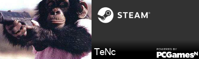 TeNc Steam Signature