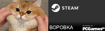 BOPOBKA Steam Signature