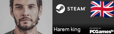 Harem king Steam Signature