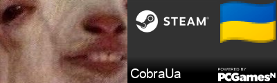 CobraUa Steam Signature