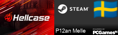 P12an Melle Steam Signature