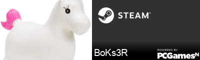 BoKs3R Steam Signature