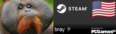 bray ッ Steam Signature